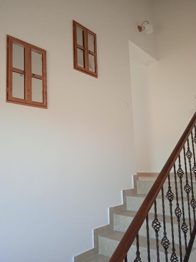 Casa Di Marko-New Modern Rustic House With Pool And Spacious Garden! Privlaka  Eksteriør bilde